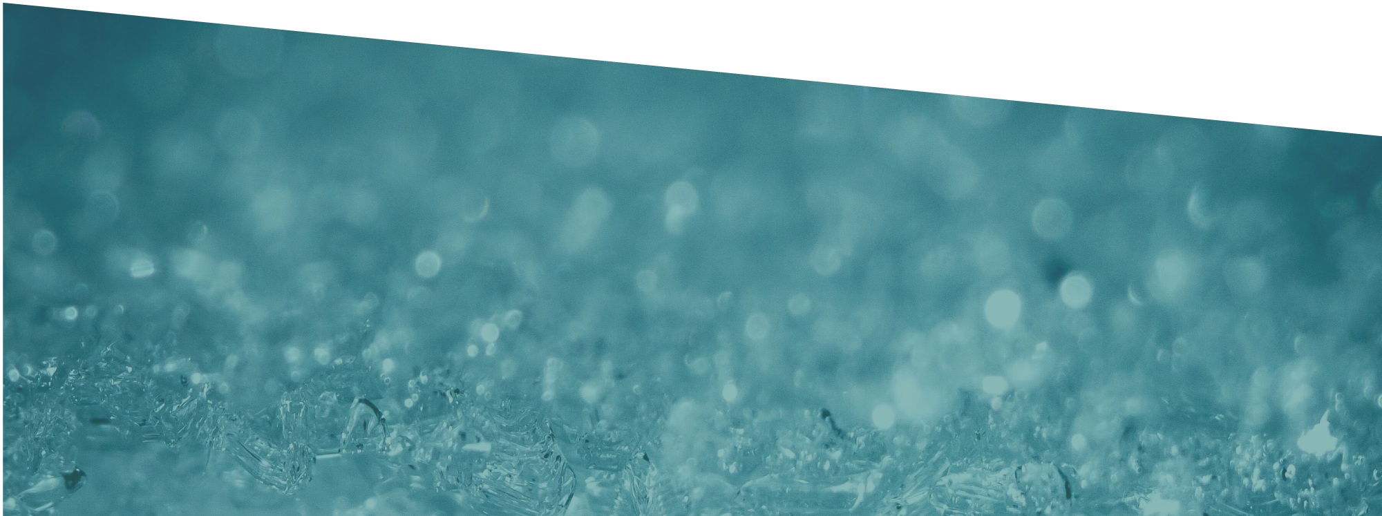 Professional team resolving a coverage dispute in Colorado Springs, CO.